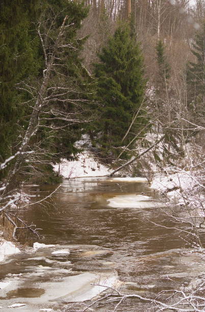 istock Small river Riezupe with ice in beautiful winter day 1352659790
