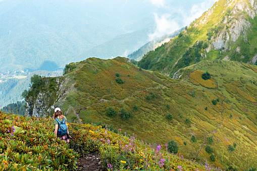Rear view of young woman with backpack hiking in mountains among rhododendron plants and flowers along mountain trail hiking , healthy active lifestyle, digital detox, weekend activities
