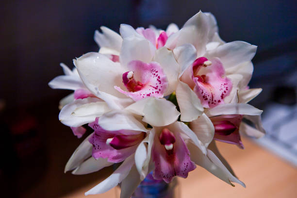 White orchid branch on ligth grey background. Relax, calmness concept. Flat-lay, top view. Copy space for your text.
