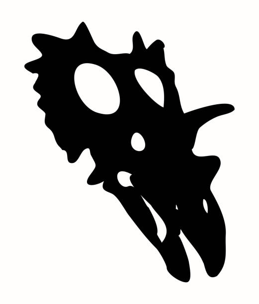 ilustraciones, imágenes clip art, dibujos animados e iconos de stock de silueta negra vectorial del esqueleto del cráneo del dinosaurio prehistórico spiclypeus, cabeza de un dinosaurio. dinosaurio herbívoro similar a los triceratops aislados sobre blanco. - prehistoric antiquity illustrations