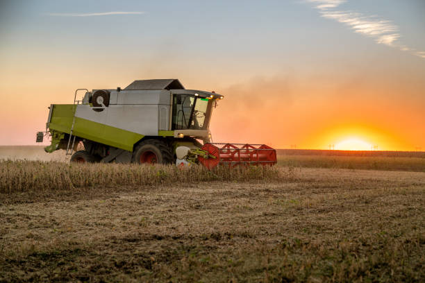 istock Combine harvester in soybean field 1352662475