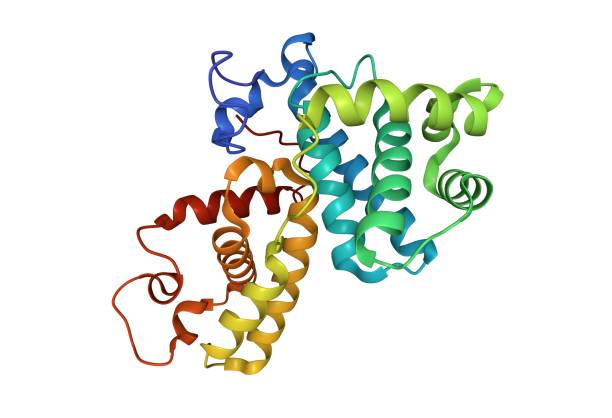 Crystal structure of human cyclin K stock photo