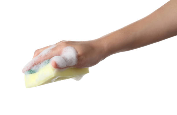 istock Hand holding cleaning sponge isolated on white background 1352664859