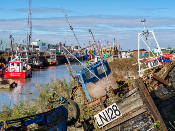 Old boats decaying in the Fisher Fleet, King's Lynn A group of decaying old fishing boats resting on the mud at the far end of the short tidal creek named Fisher Fleet in King’s Lynn, Norfolk, Eastern England, on a sunny day. The Fisher Fleet is - as the name suggests - where the trawlers and other fishing boats moor to unload their catch, mainly shellfish and shrimps. Use of the Fisher Fleet was granted to the fishermen of the town by Queen Elizabeth I, giving them the right to “free and uninterrupted use of the Fisher Fleet for ever and ever”. Factories line the quaysides for processing the catch made by the boats. kings lynn stock pictures, royalty-free photos & images