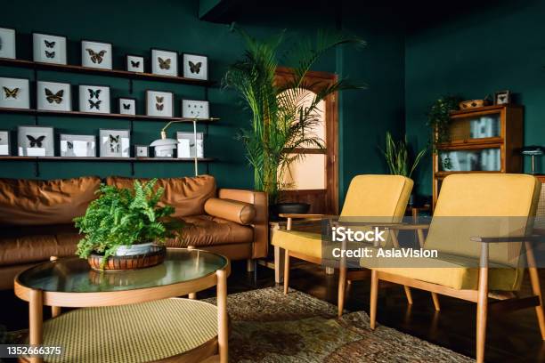 茶色と黄色の家具ダークグリーンの壁が特徴の木製の要素を持つスタイリッシュなリビングルームのインテリア植物や蝶の標本で飾られています - 居間のストックフォトや画像を多数ご用意