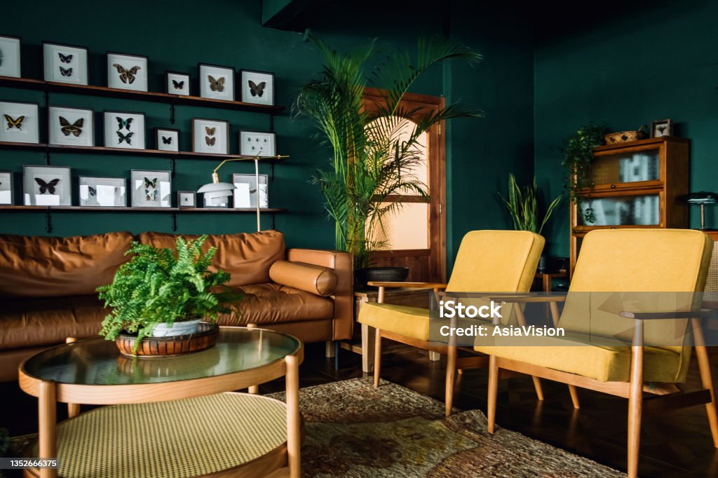 A stylish living room interior with brown and yellow coloured furniture and wooden elements with dark green coloured wall. Decorated with plants and butterfly specimen Living Room Stock Photo