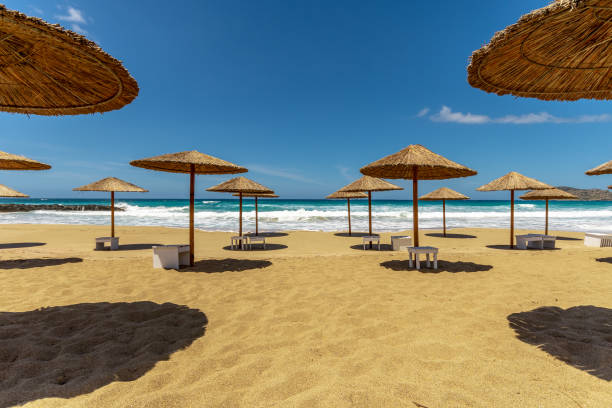istock Empty sandy beach with umbrellas in summer with sun light. 1352670363