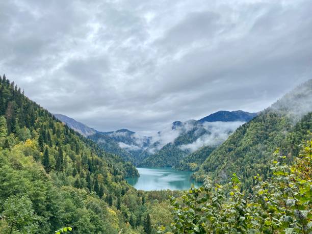 lago ritsa en las montañas del cáucaso, en la parte noroeste de abjasia, georgia, rodeado de bosques mixtos de montaña y prados subalpinos. - valley georgia river mountain fotografías e imágenes de stock