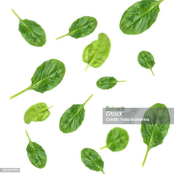 Fresh Flying Spinach Leaves On A White Background Healthy Food Concept Creative Layout Selective Focus Collage Stock Photo - Download Image Now