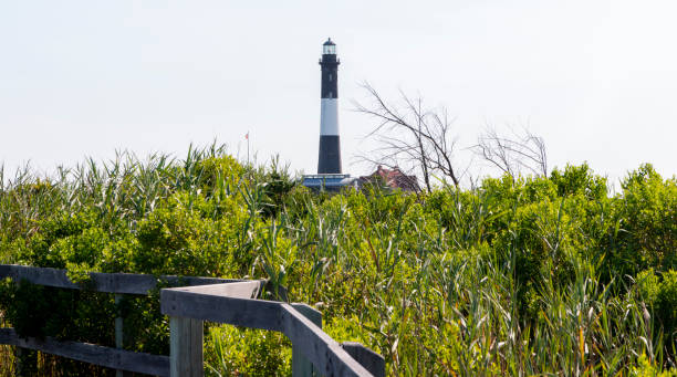 istock Looking through the tall grass at the Fire Island Lighthouse 1352672417