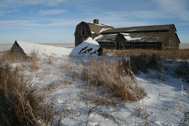 pozostawione farm - prairie farm winter snow zdjęcia i obrazy z banku zdjęć