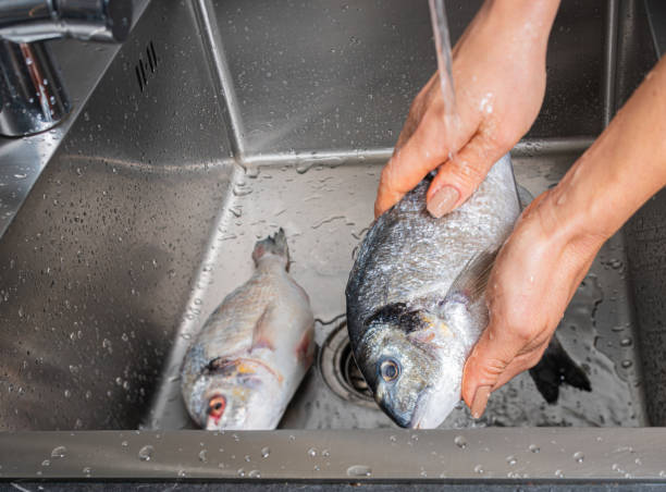 istock Dorado fish washing under running water 1352674431