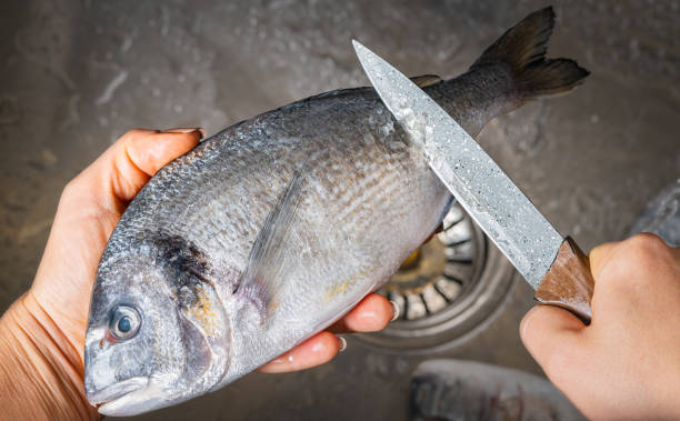 istock Dorado fish scales cleaning 1352674470