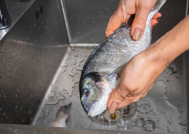 istock Dorado fish washing under running water 1352674503