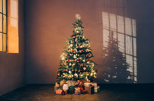 Holiday spirit: a Christmas tree captured at night