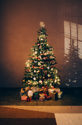 Holiday spirit: a Christmas tree captured at night
