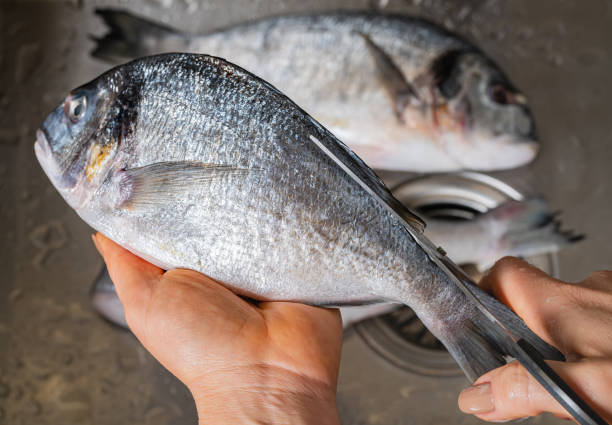 istock cutting off fins of dorado fish 1352674679