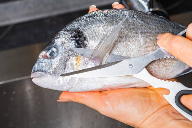 istock cutting off fins of dorado fish 1352674746