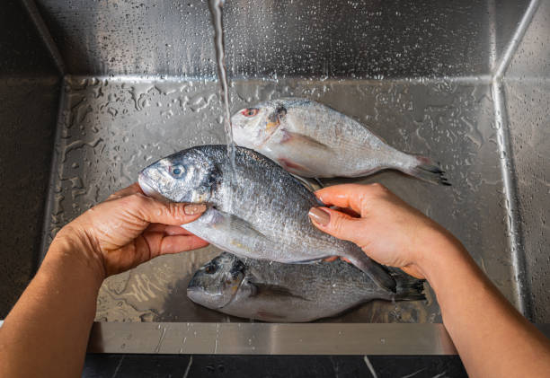 istock Dorado fish washing under running water 1352674775