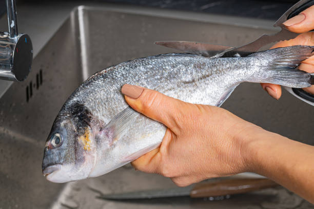 istock cutting off fins of dorado fish 1352674814