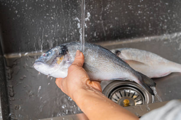 istock Dorado fish washing under running water 1352674830