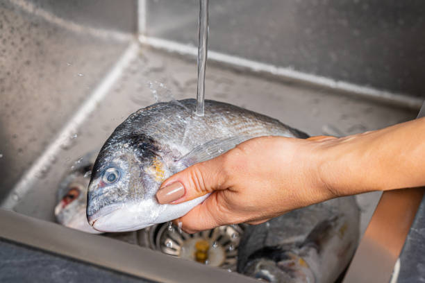 istock Dorado fish washing under running water 1352674865