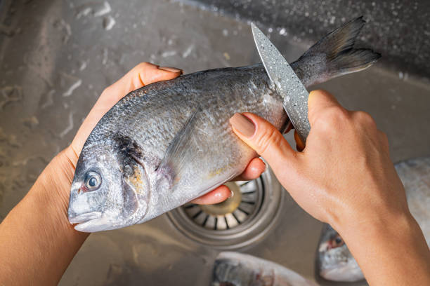 istock Dorado fish scales cleaning 1352674899