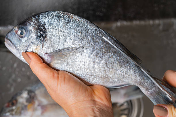 istock cutting off fins of dorado fish 1352675111