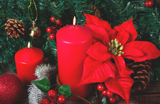 Christmas decoration with poinsettia flower, cone, red candles and Christmas tree branch.