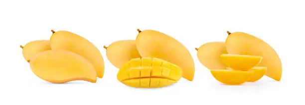 ripe yellow mango isolated on white background