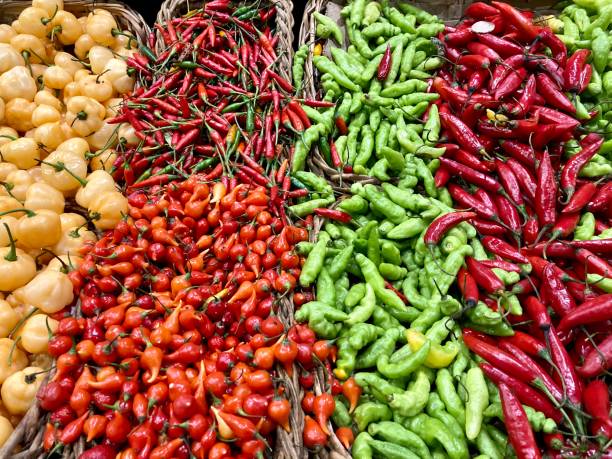 istock Peppers  in the supermarket 1352680550