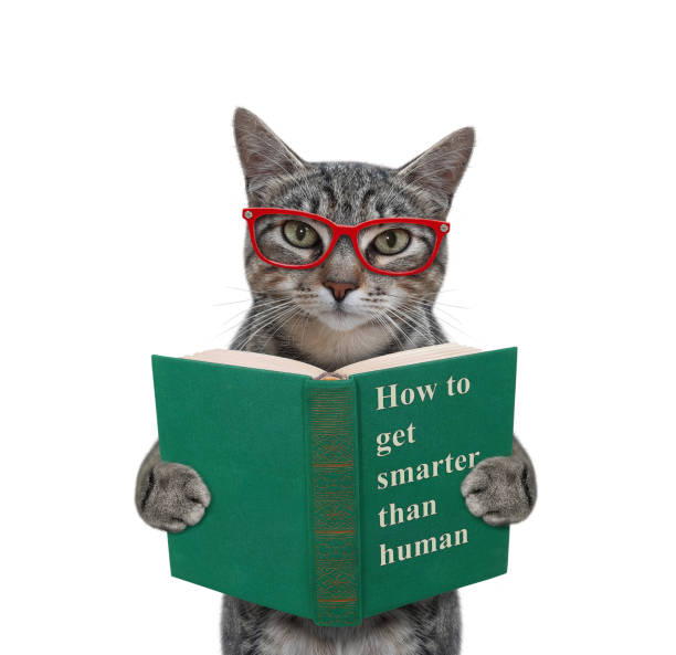 istock Cat gray in eyeglasses reads green book 1352687129