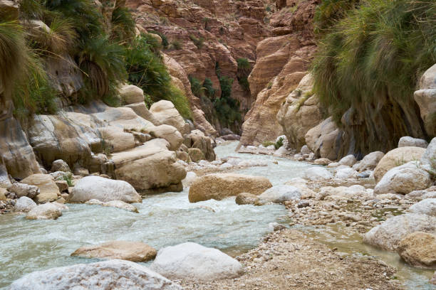 istock Water, stones and mountain in Wadi Hasa Canyon, Jordan 1352688098