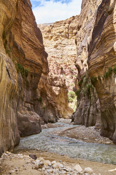 istock Stream of water in Wadi Hasa Canyon, Jordan 1352688100
