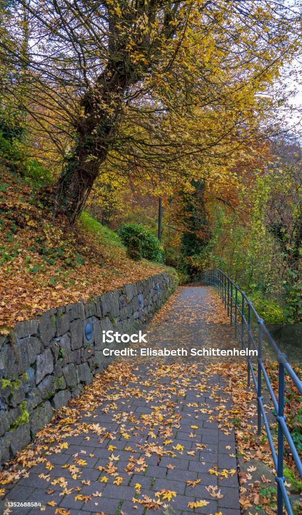 Footpath in Remagen Remagen, Germany, November 2021: Footpath near Rolandsogen  in Upper Middle Rhine Valley Architecture Stock Photo