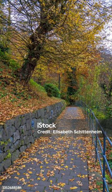 Footpath In Remagen Stock Photo - Download Image Now - Architecture, Autumn, Autumn Leaf Color