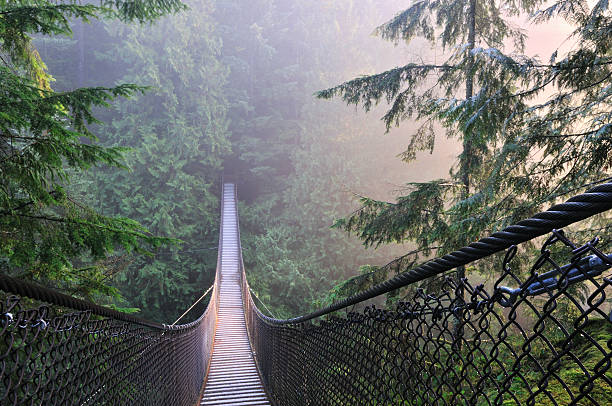Lynn Canyon Park & Suspension Bridge in a foggy morning stock photo