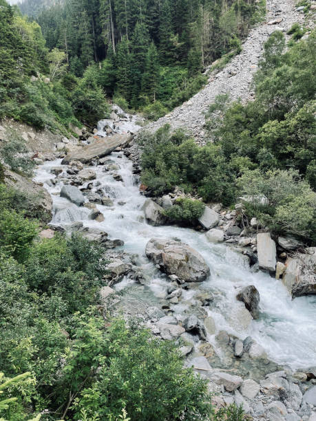 istock Scenic view of river flowing down through lush forest 1352690044
