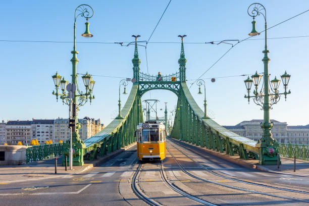 istock Tram on Elisabeth (Erzsebet) bridge in Budapest, Hungary 1352690998