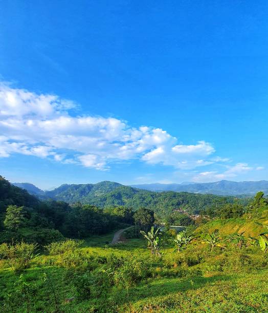 istock Sunny Day with Mountain View, White Clouds and Blue Sky 1352691339