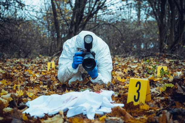 Forensic scientist working at crime scene Senior forensic scientist doing photographs at crime scene dna test flash stock pictures, royalty-free photos & images