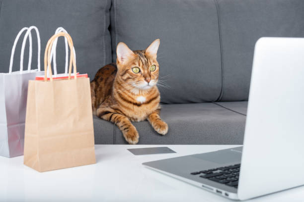 飼い猫はクレジットカードを使って新年の贈り物をオンラインで購入します。 - domestic cat bag shopping gift ストックフォトと画像