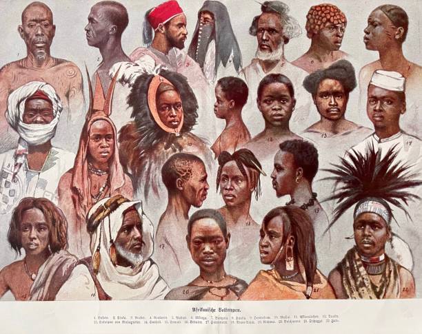 ilustraciones, imágenes clip art, dibujos animados e iconos de stock de grupos étnicos africanos, disparos en la cabeza - african descent africa african culture pattern