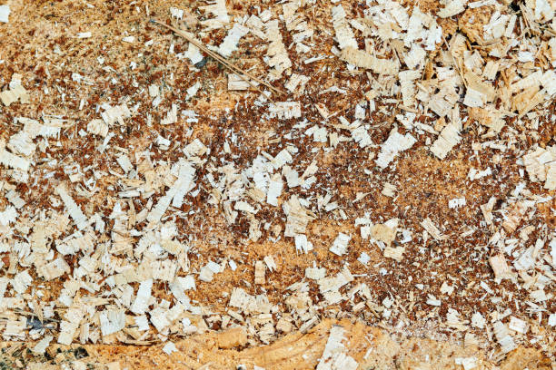 abstract​ black​and​ texture​ rice​ husk and​ soil.​ texture​ of​ adobe​ wall, clay​ wall