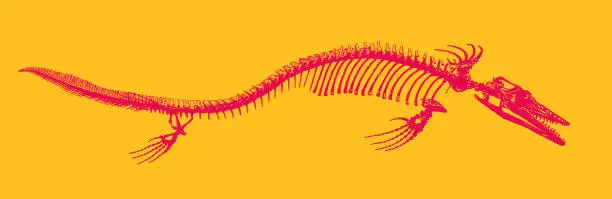 Vector illustration of Mosasaur Dinosaur skeleton