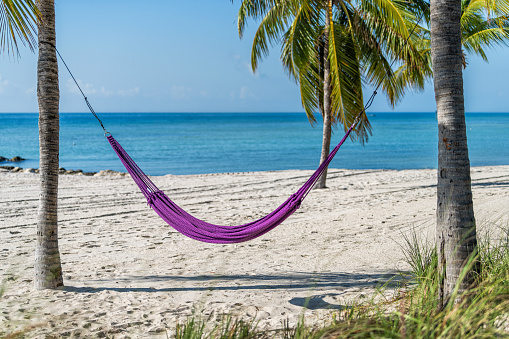 Key West, Florida Atlantic ocean with Smathers beach coast coastline with beautiful blue water and closeup of colorful of purple hammock with nobody on sunny day