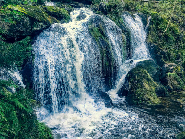 istock A small stony river with waterfalls in the Black Forest. 1352703916