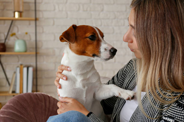 istock Young woman with a pup at home 1352704034