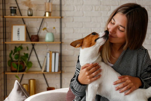 istock Young woman with a pup at home 1352704035