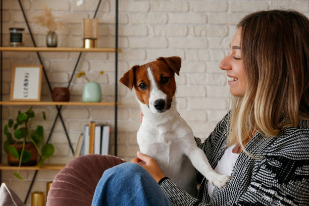 istock Young woman with a pup at home 1352704038